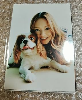 Amazon.co.jp: (） オフショット 安室奈美恵FC 公式写真 10枚